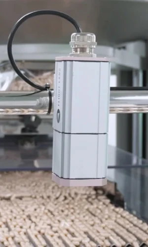 FalconVision-Examando capsulas