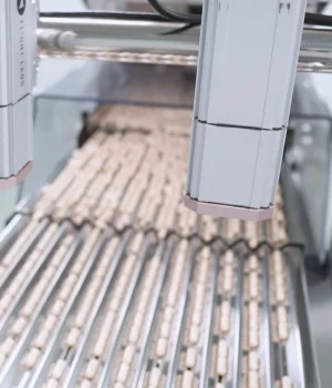 FalconVision-Examinando capsulas