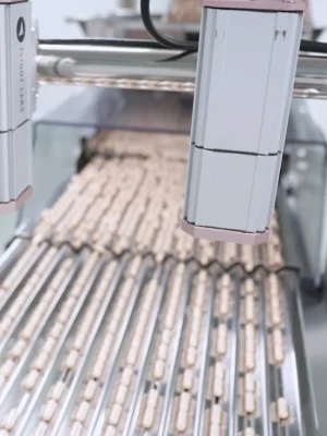 FalconVision-Examinando capsulas